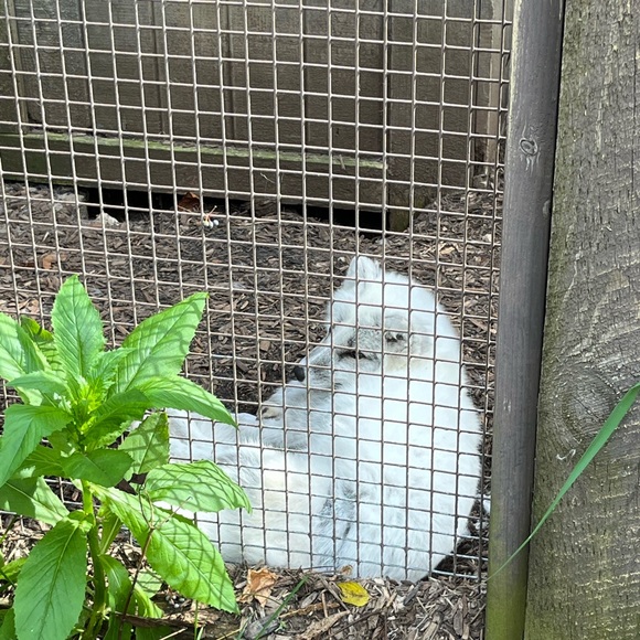 Meet your Posher, Loren - Picture 3 of 3